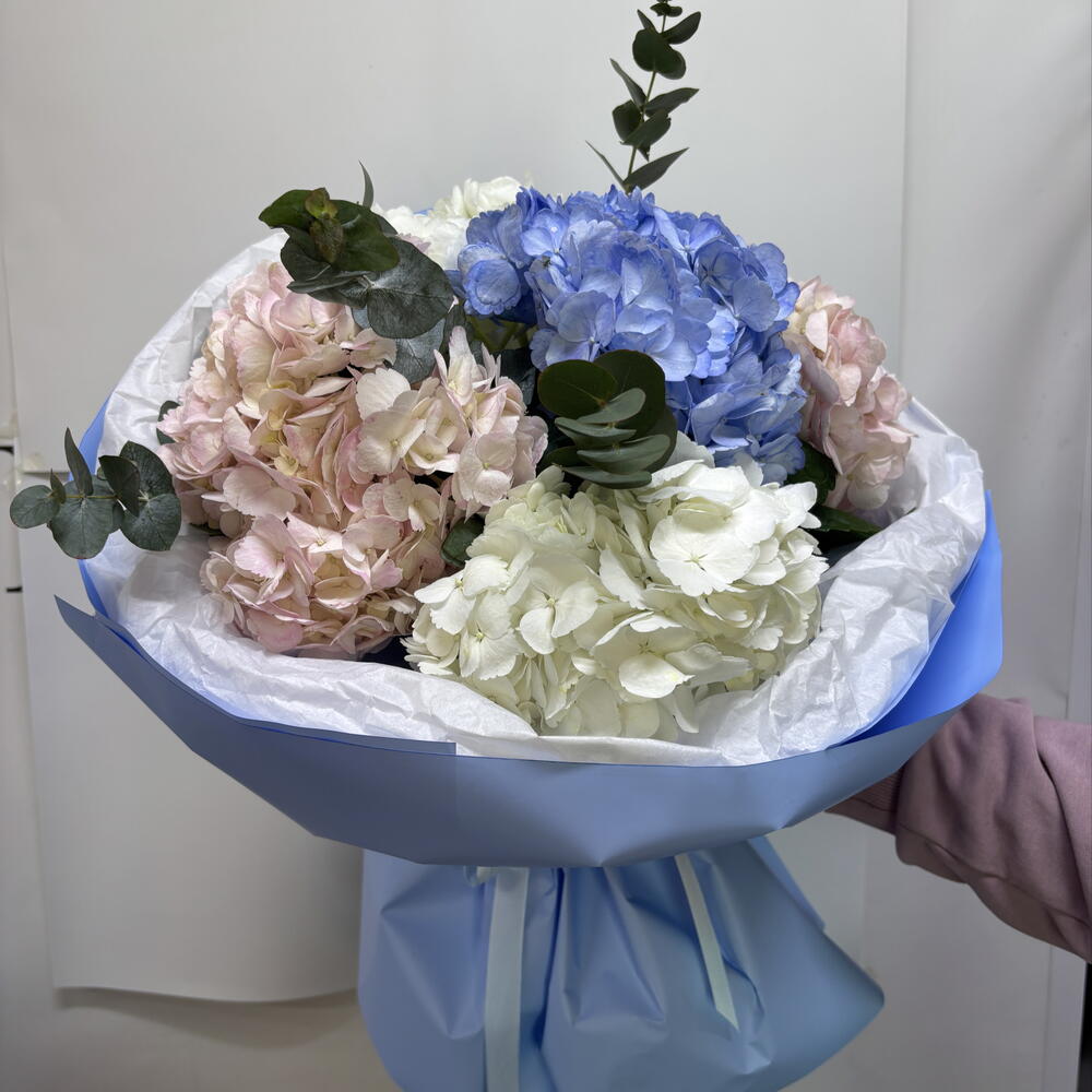 Bouquet of hydrangeas