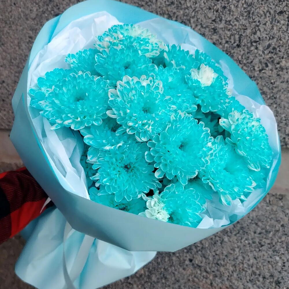 Морской бриз