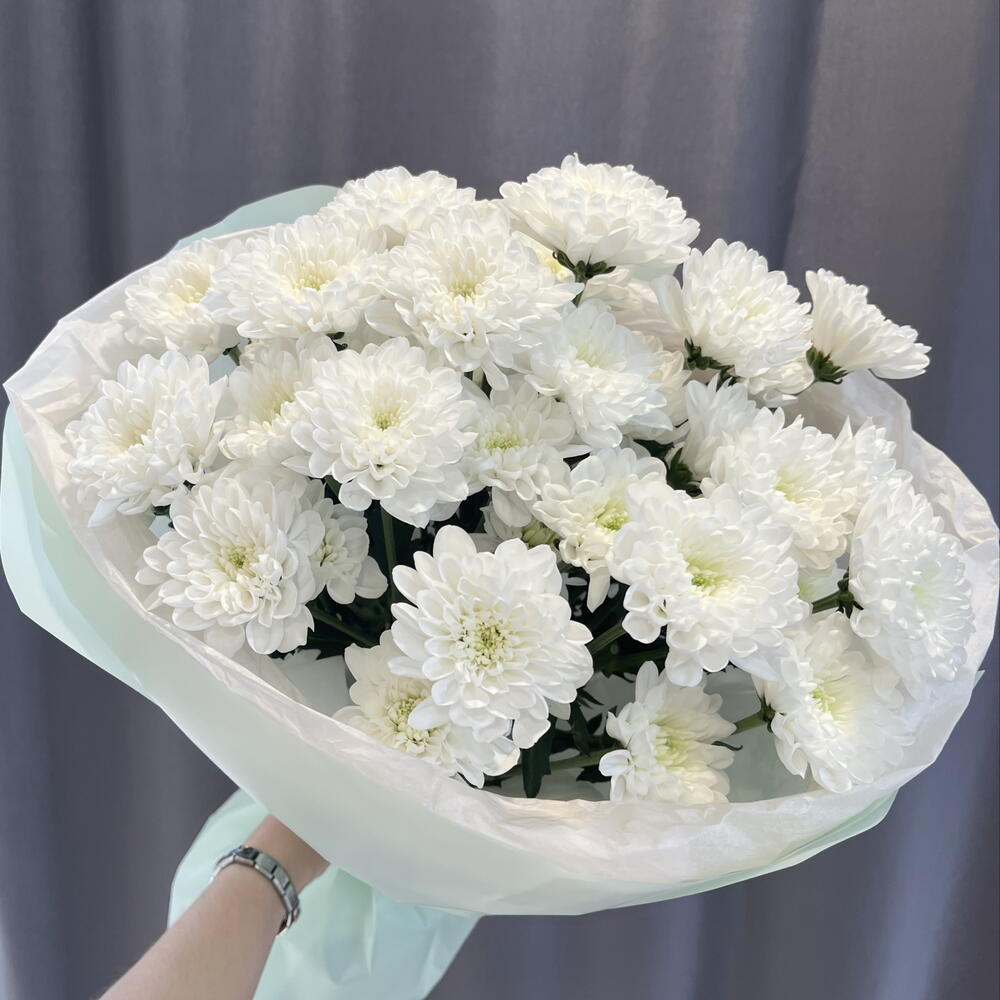 5 кустовых хризантем