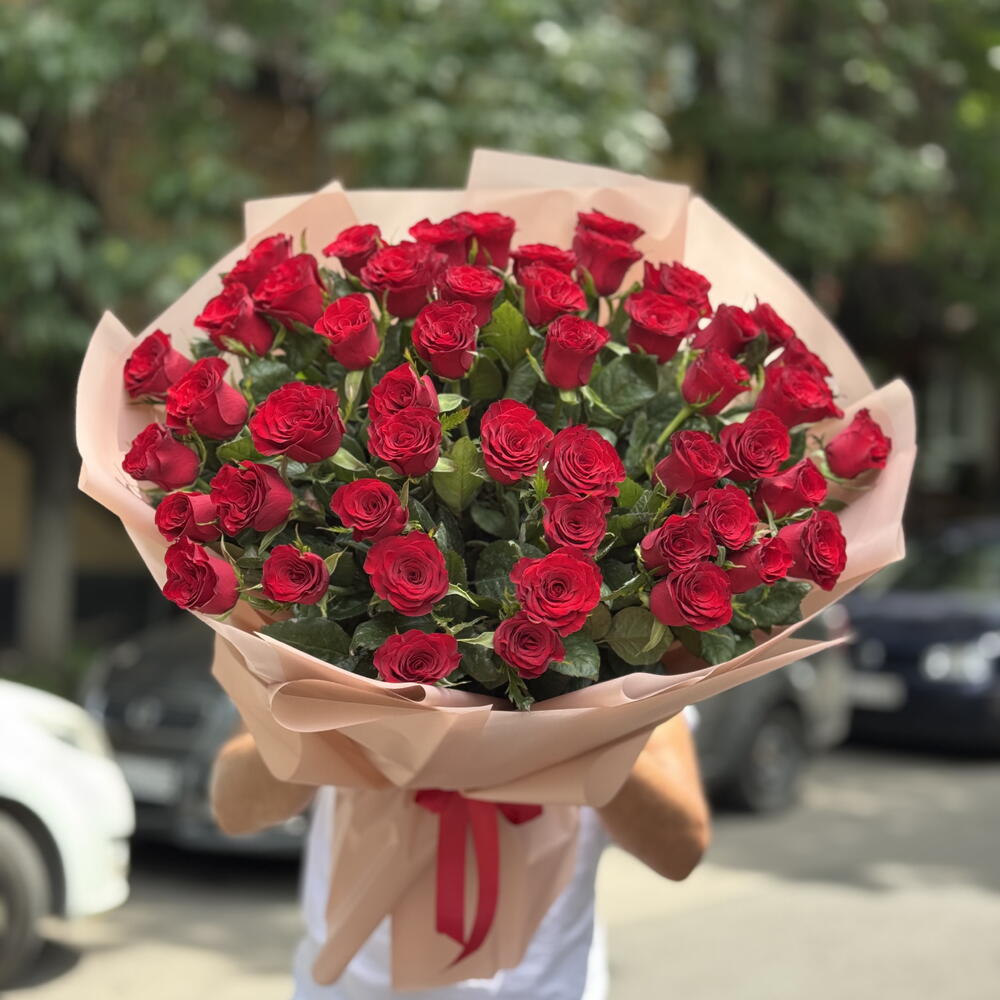 Элегантность