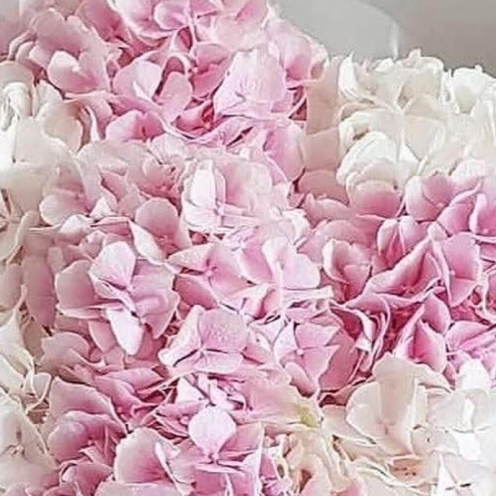 Нежный букет💗