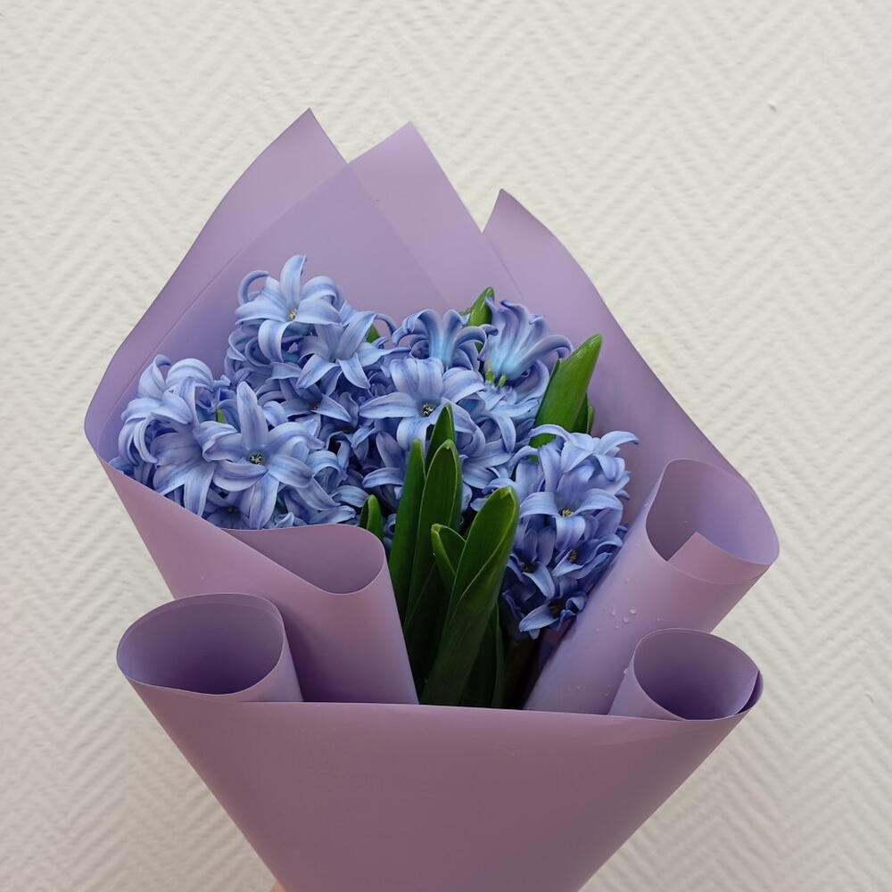 Букет из 5 Гиацинтов  🌸🌸🌸