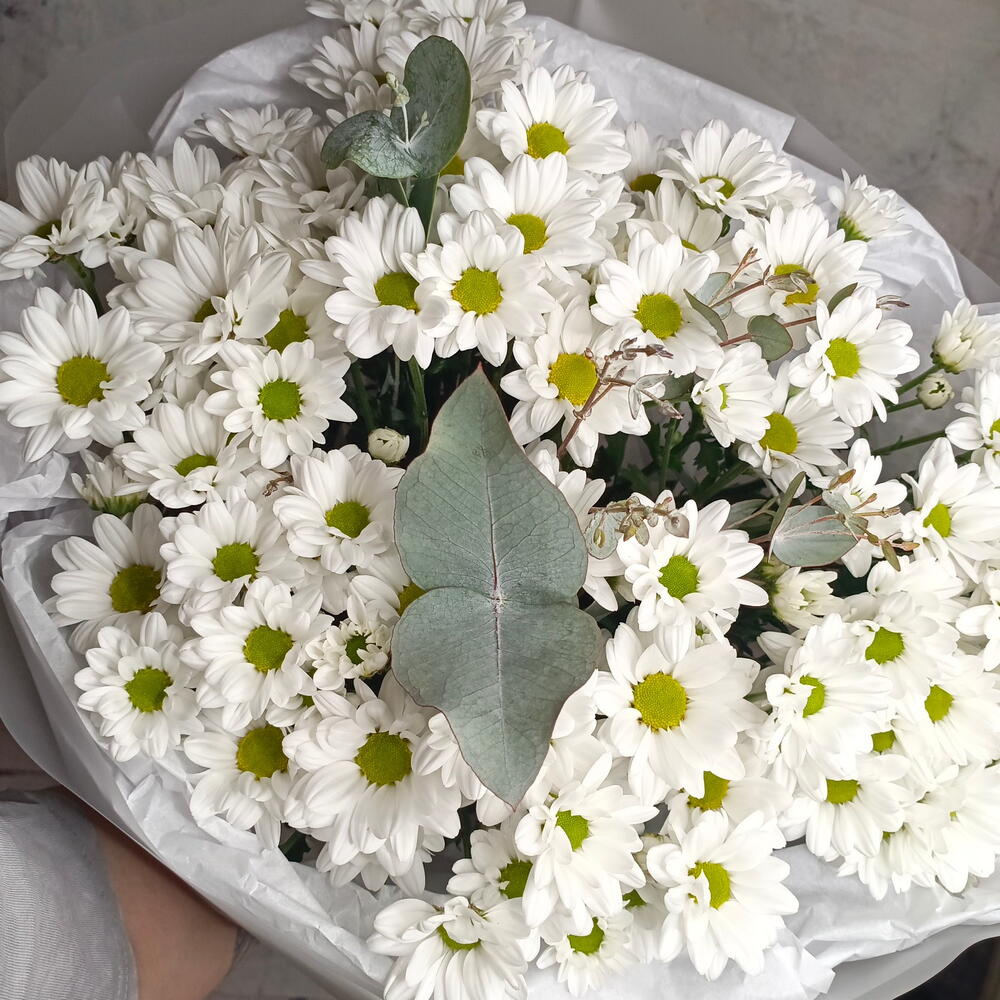 Букет с хризантемой ромашковой 🌷