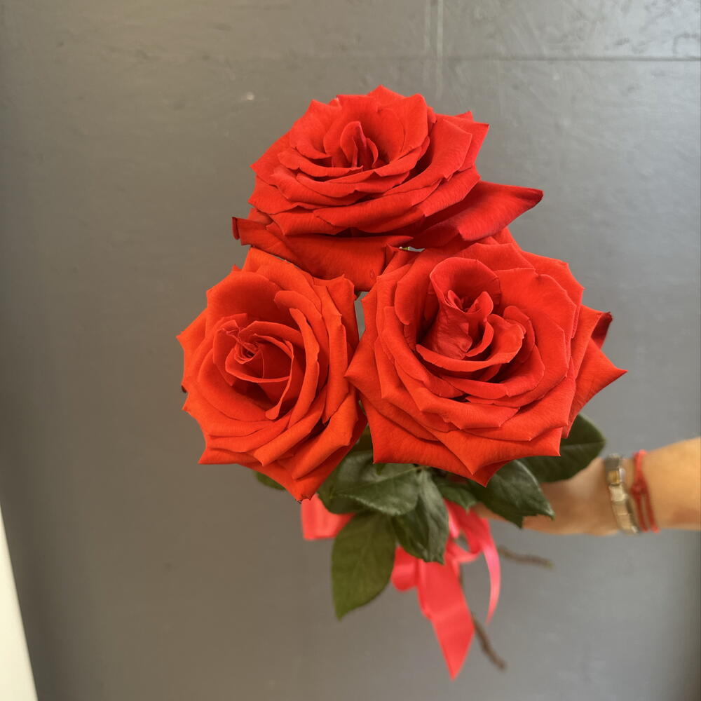 3 алые розы 🌹
