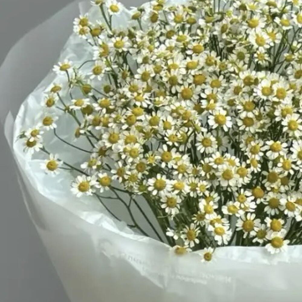 Букет Ромашка S