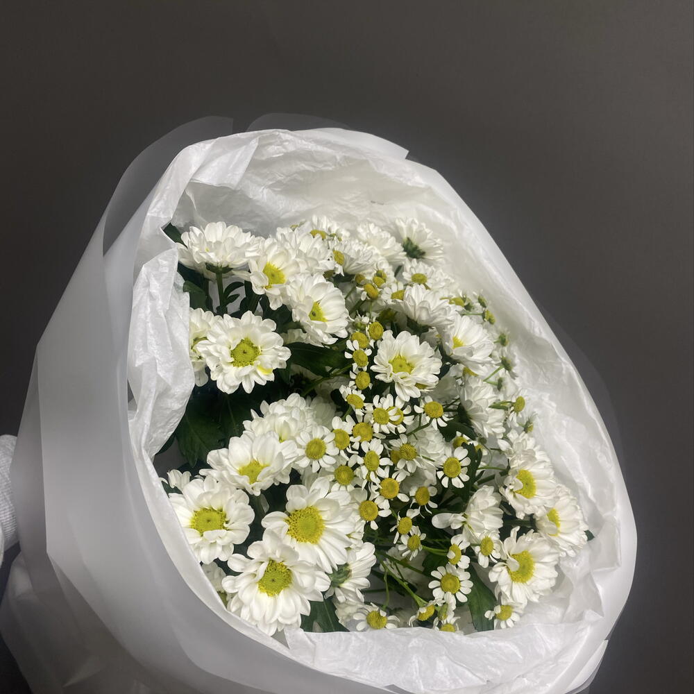 Ромашки