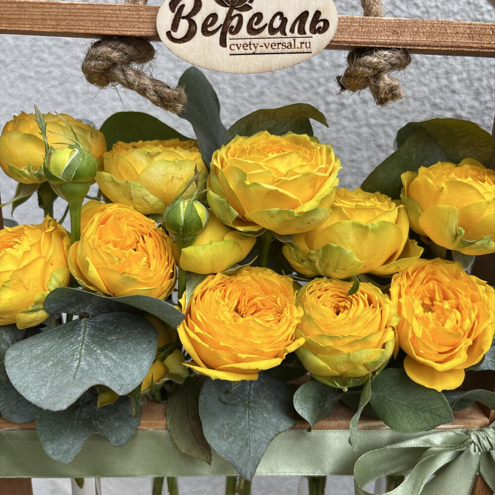 Рамочка с колбами