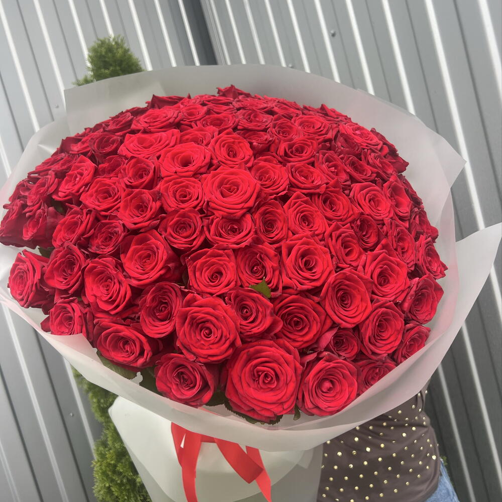 101 Роза 🌹