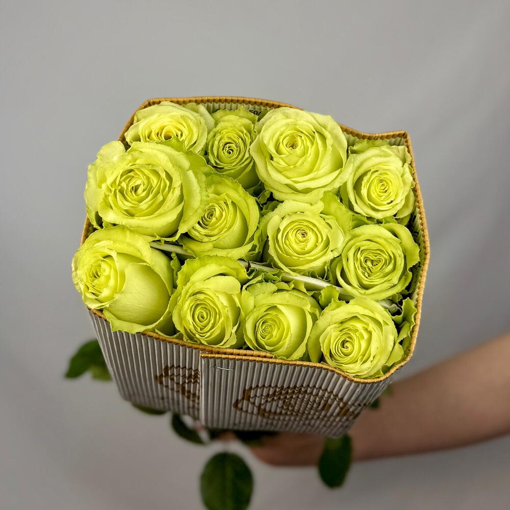 Пачка Роза сорт «Limonada» 25 стеблей