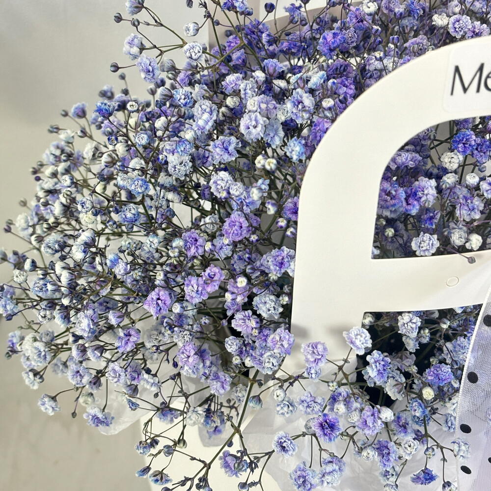 Гипсофила сиреневая💜