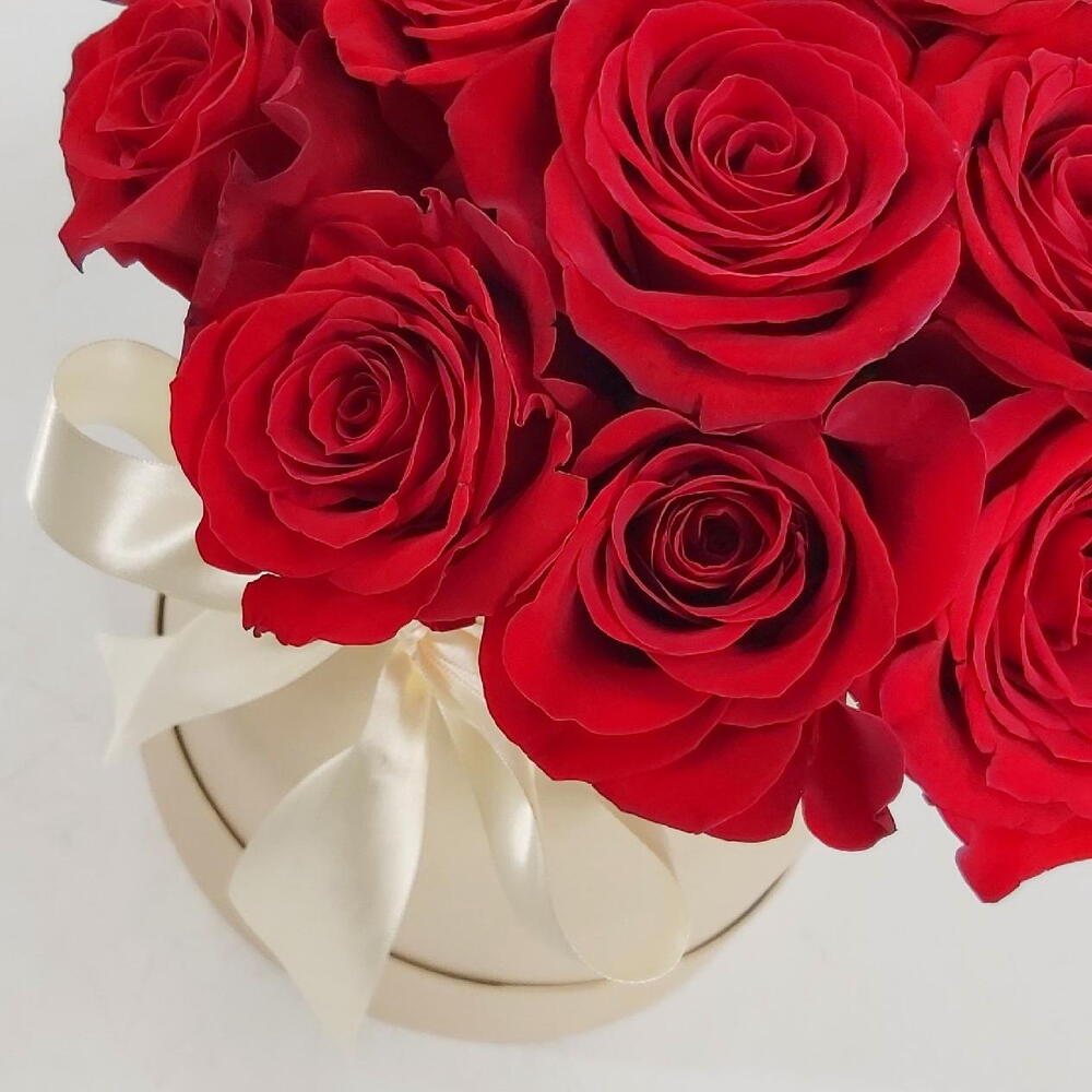 ✅  Красная Шапочка ХИТ 💐