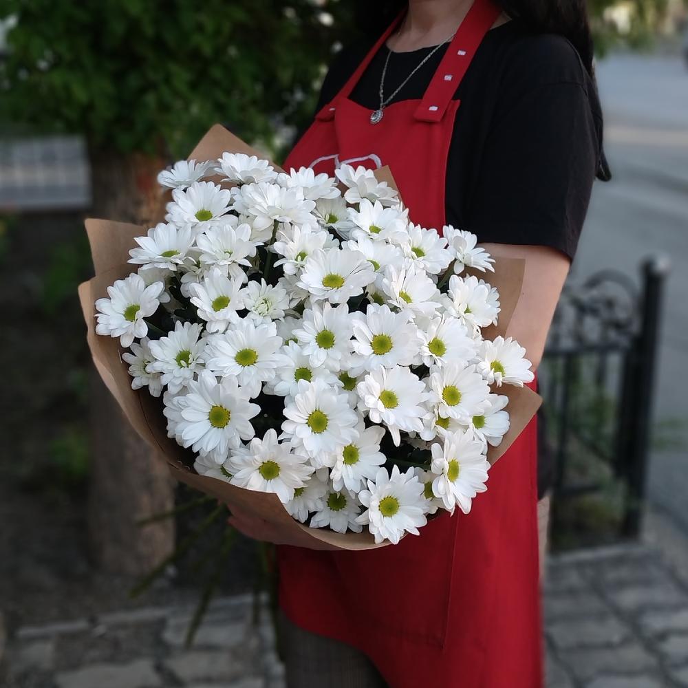 💐Ромашковое чудо Хризантема