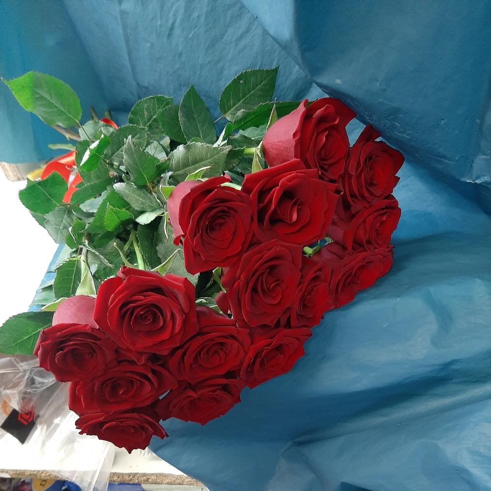 15 Бордовых РОЗ