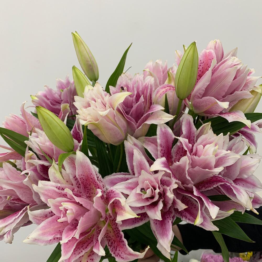 Bouquet of lilies