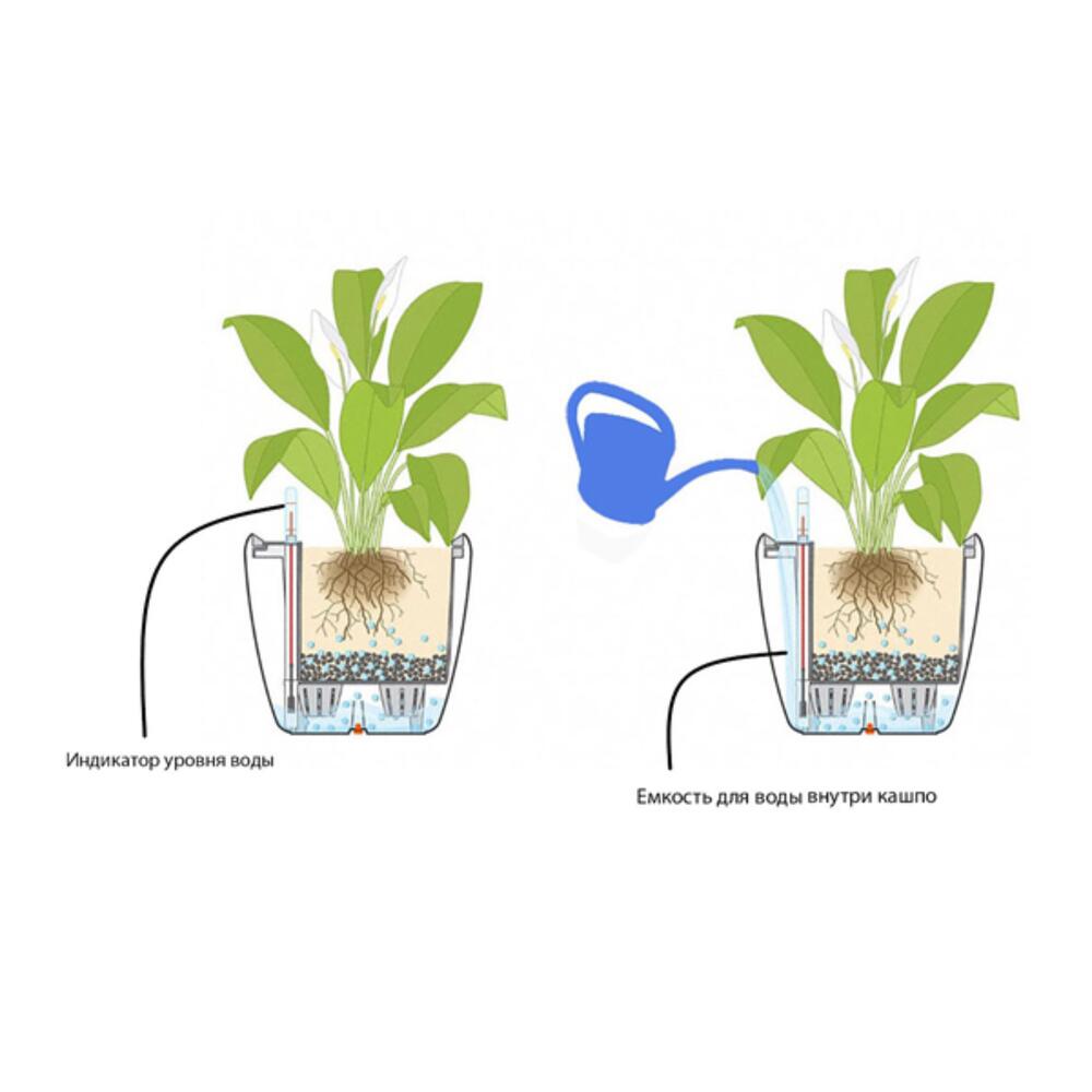 Кашпо С Автополивом Для Комнатных Растений Купить
