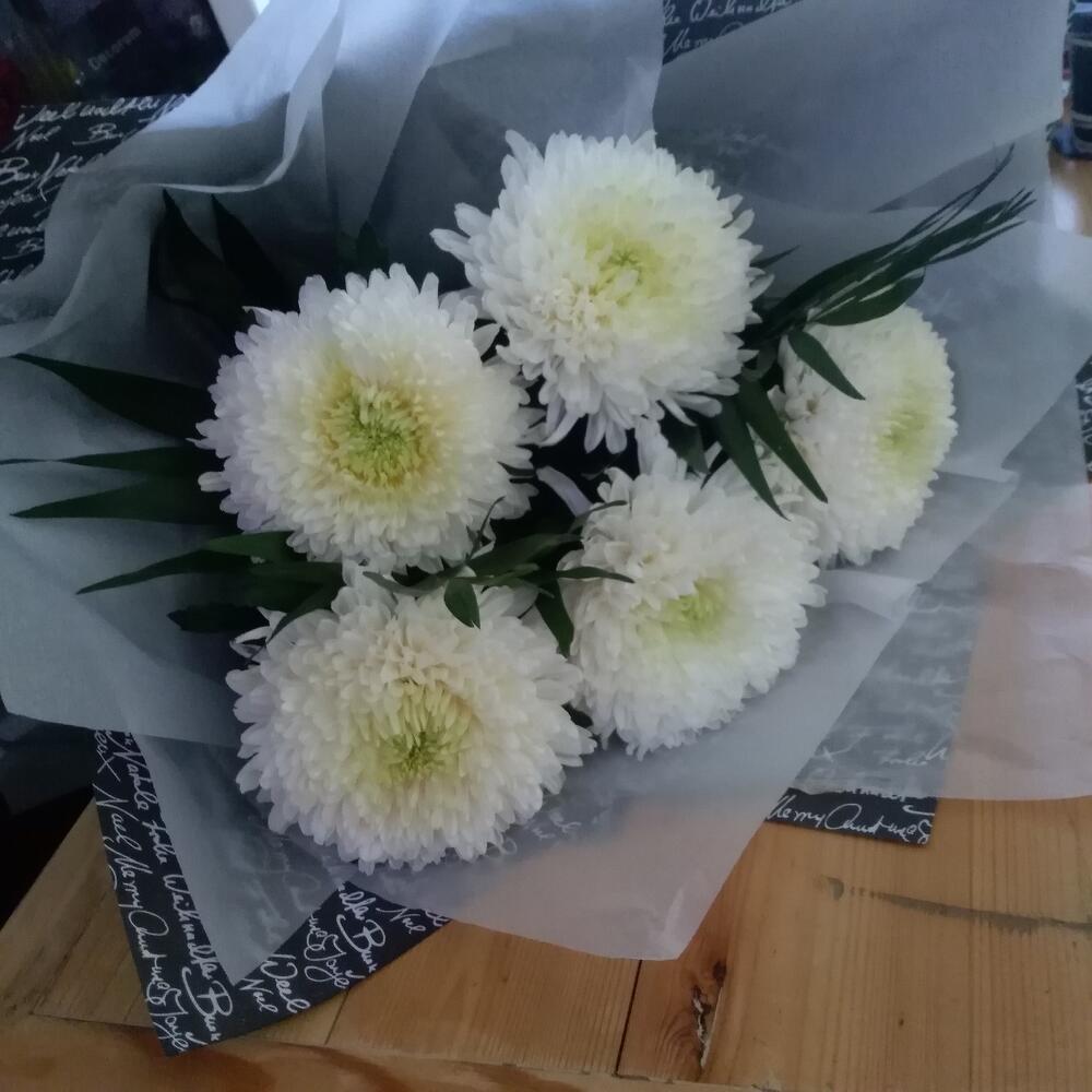 Хризантемдерден моно