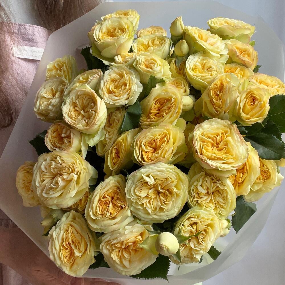 7 кустовых пионовидных роз🌷
