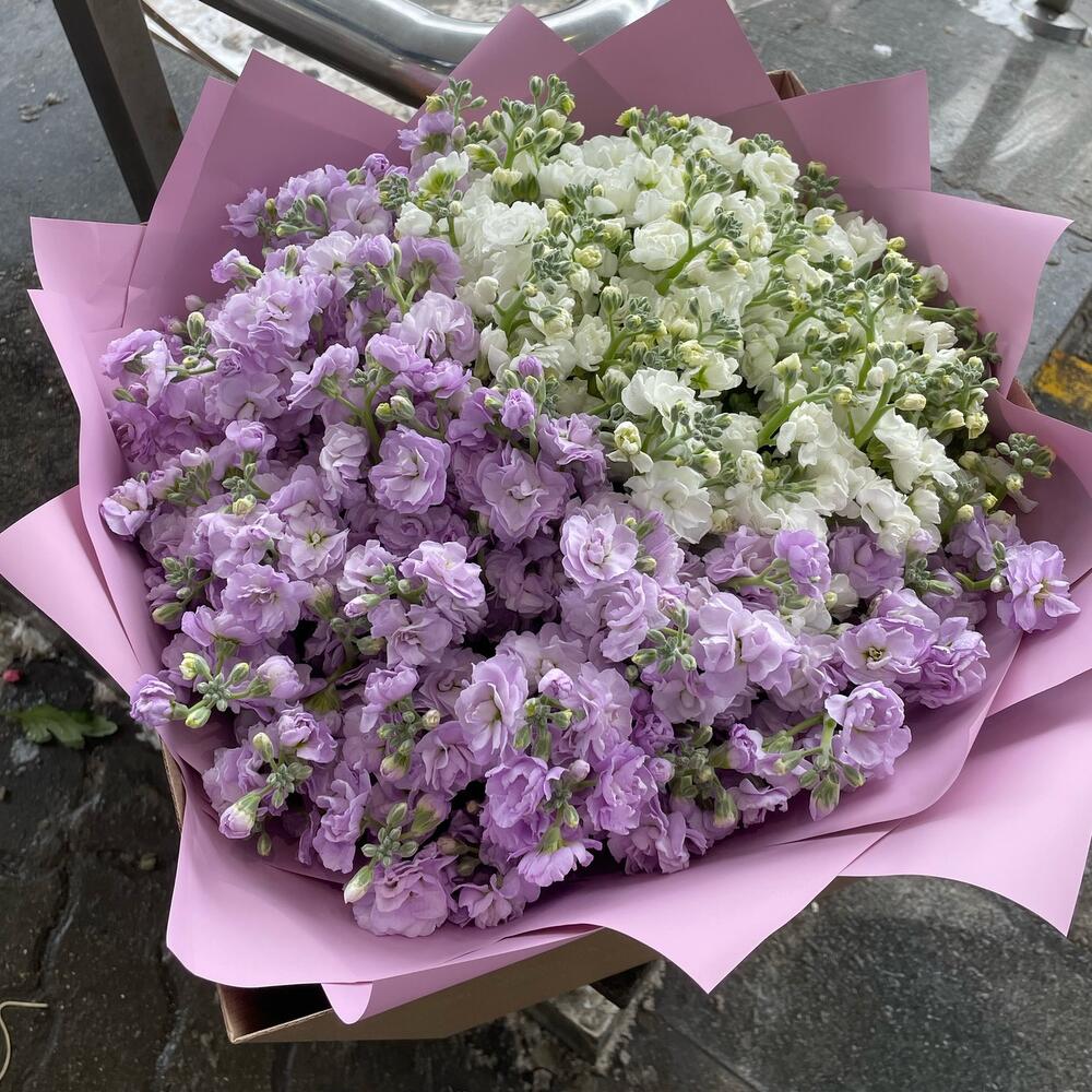 Букет из маттиолы