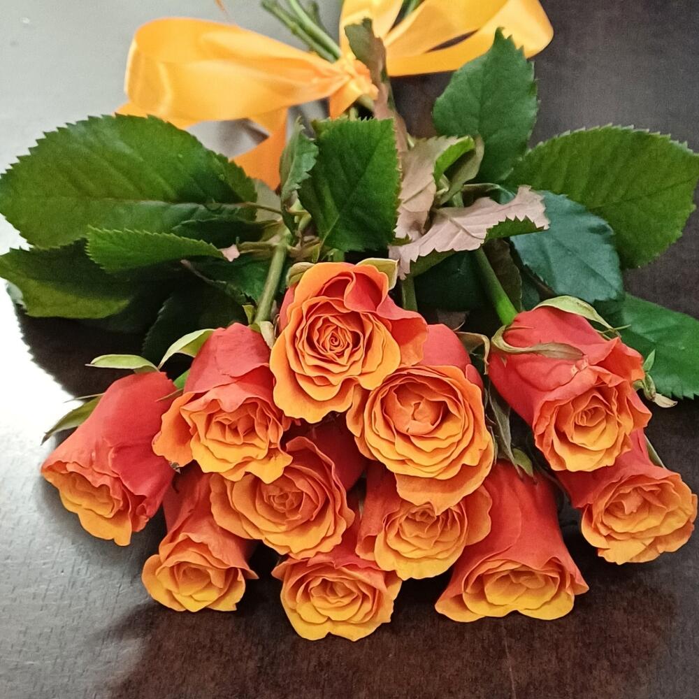 11 roses SPAIN