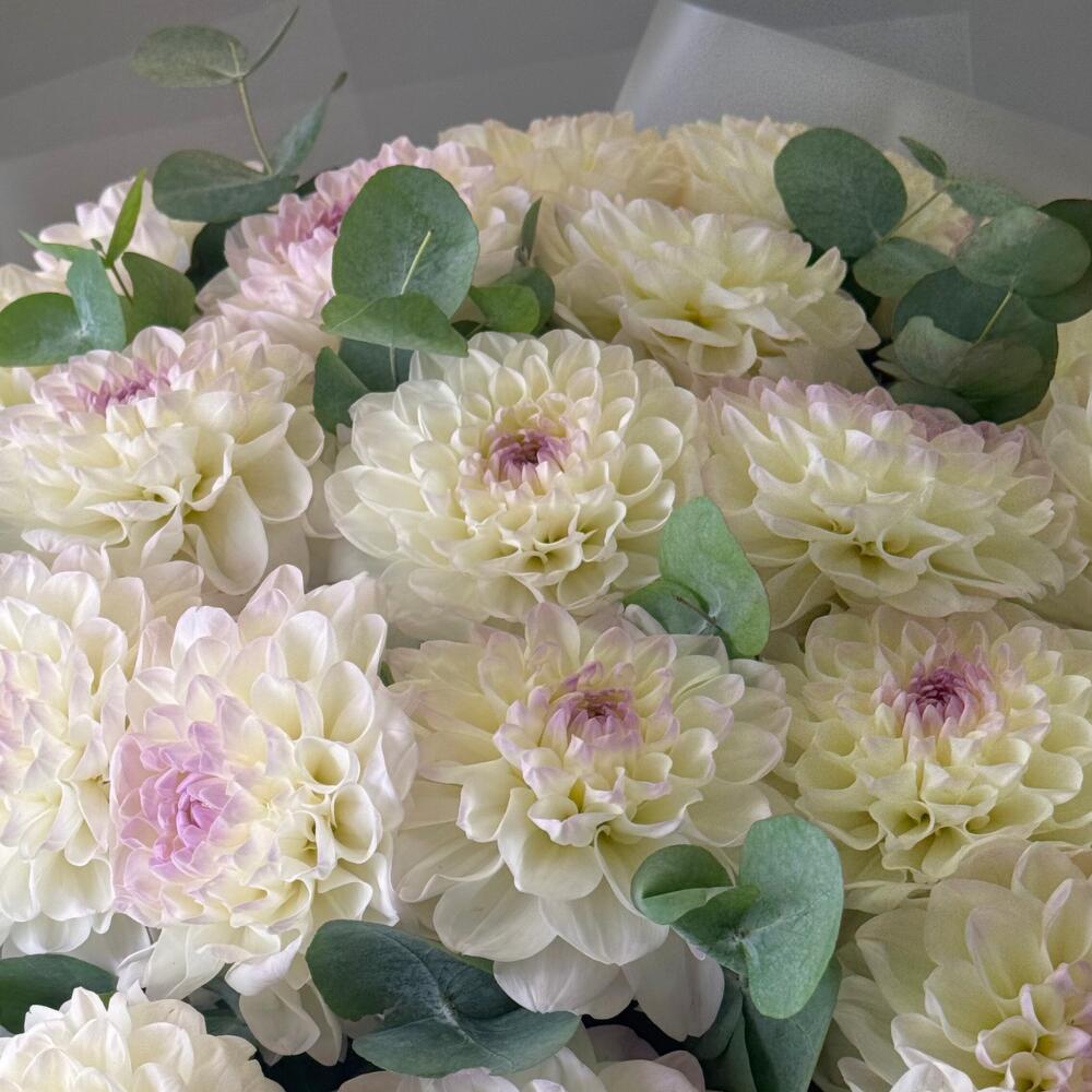 Цветы Букет Art Flowers Белое сияние