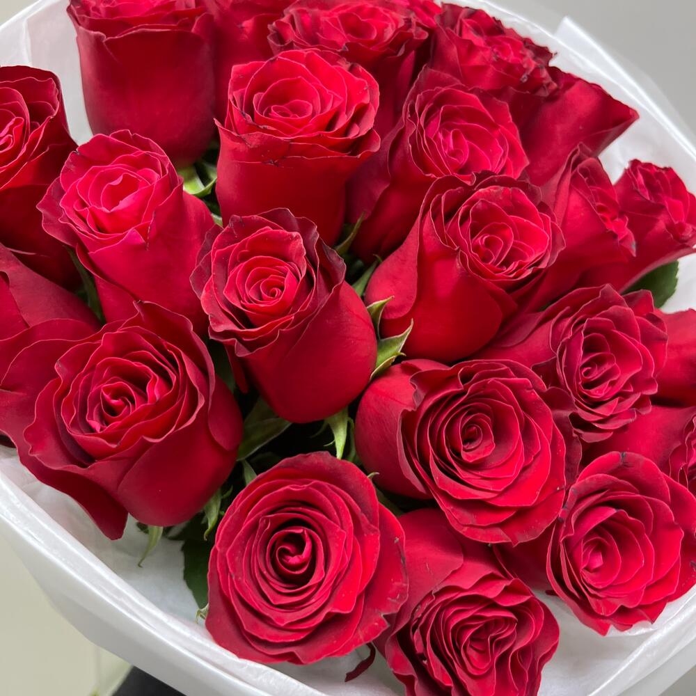 Моно из красной розы 25 штук 🌹