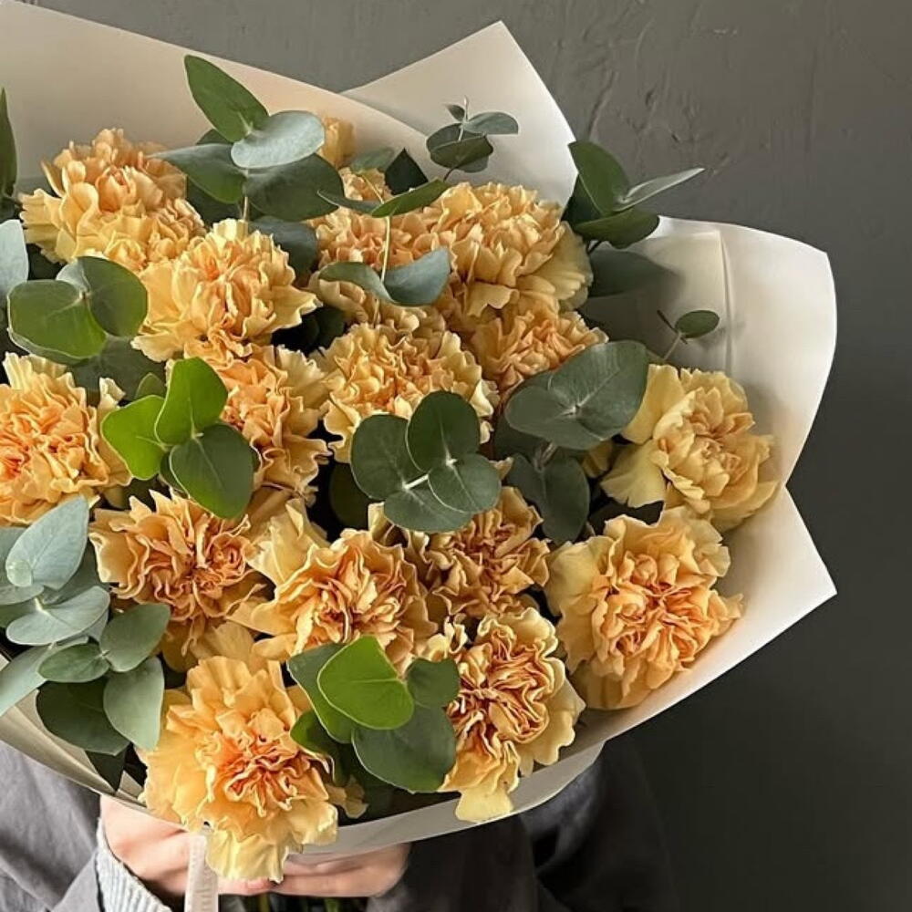 Dianthus эвкалиптом