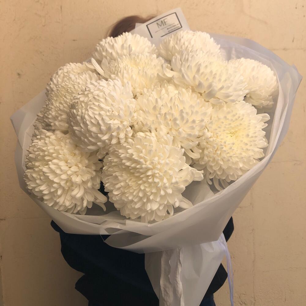Белые одноголовые хризантемы, большие , ХИТ