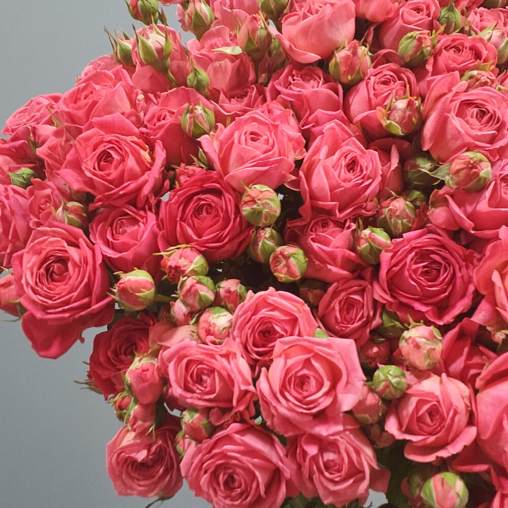 Пышный букет 💐
