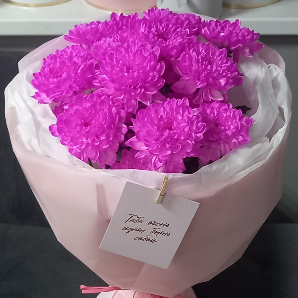 Pink chrysanthemum candy