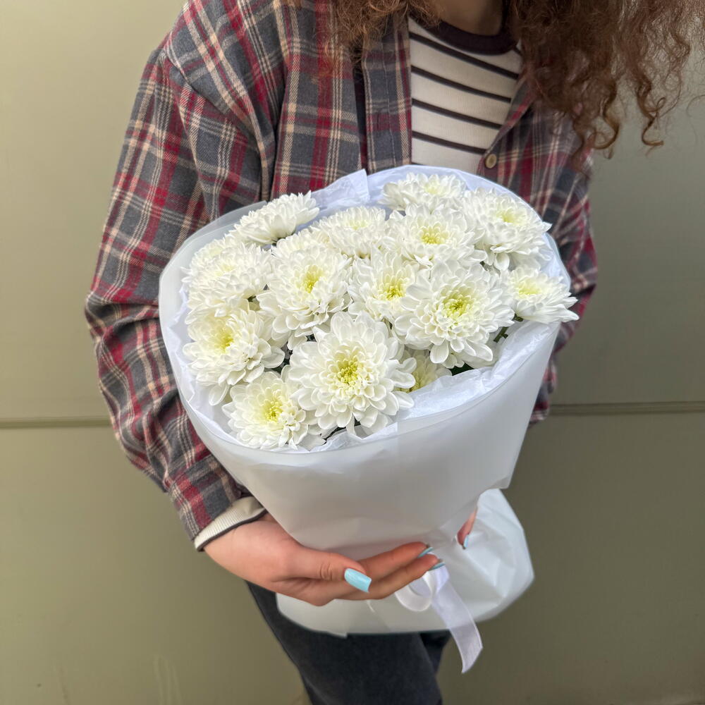 Моно Хризантема + сладкий подарок 🎁