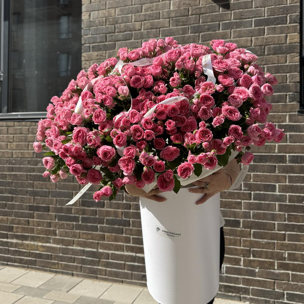 Giant box with Sophie shrub roses