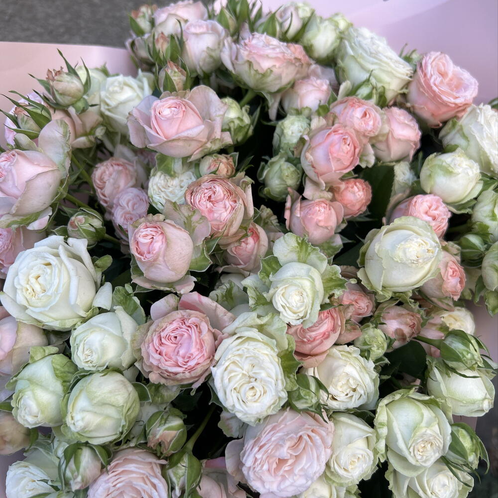 Букет из 25 кустовых роз