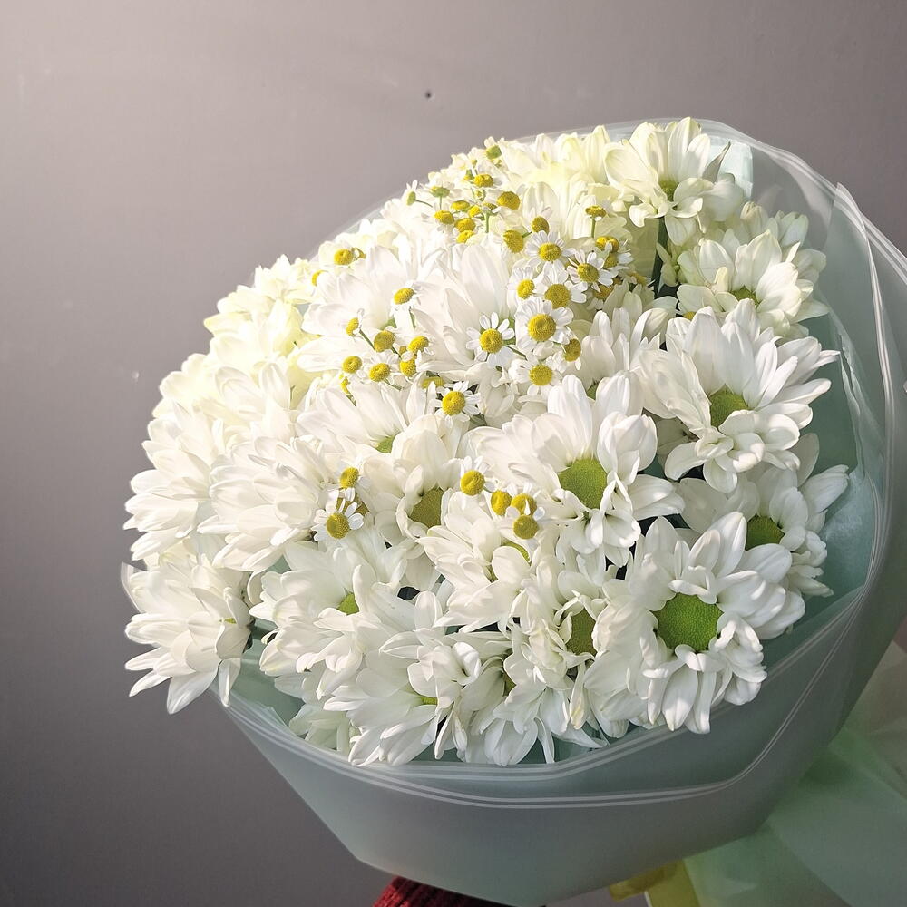 Ромашки