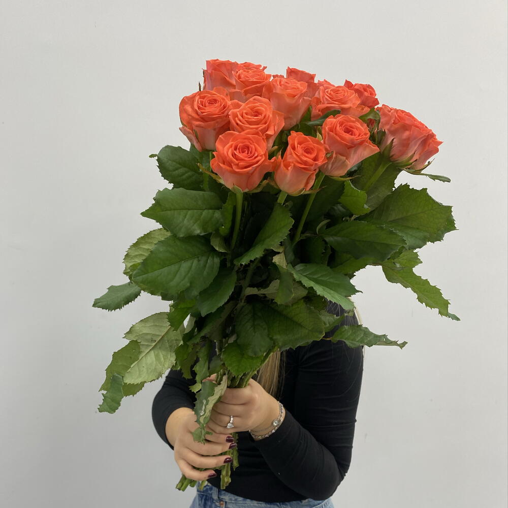 19 коралловых роз сорта Вау