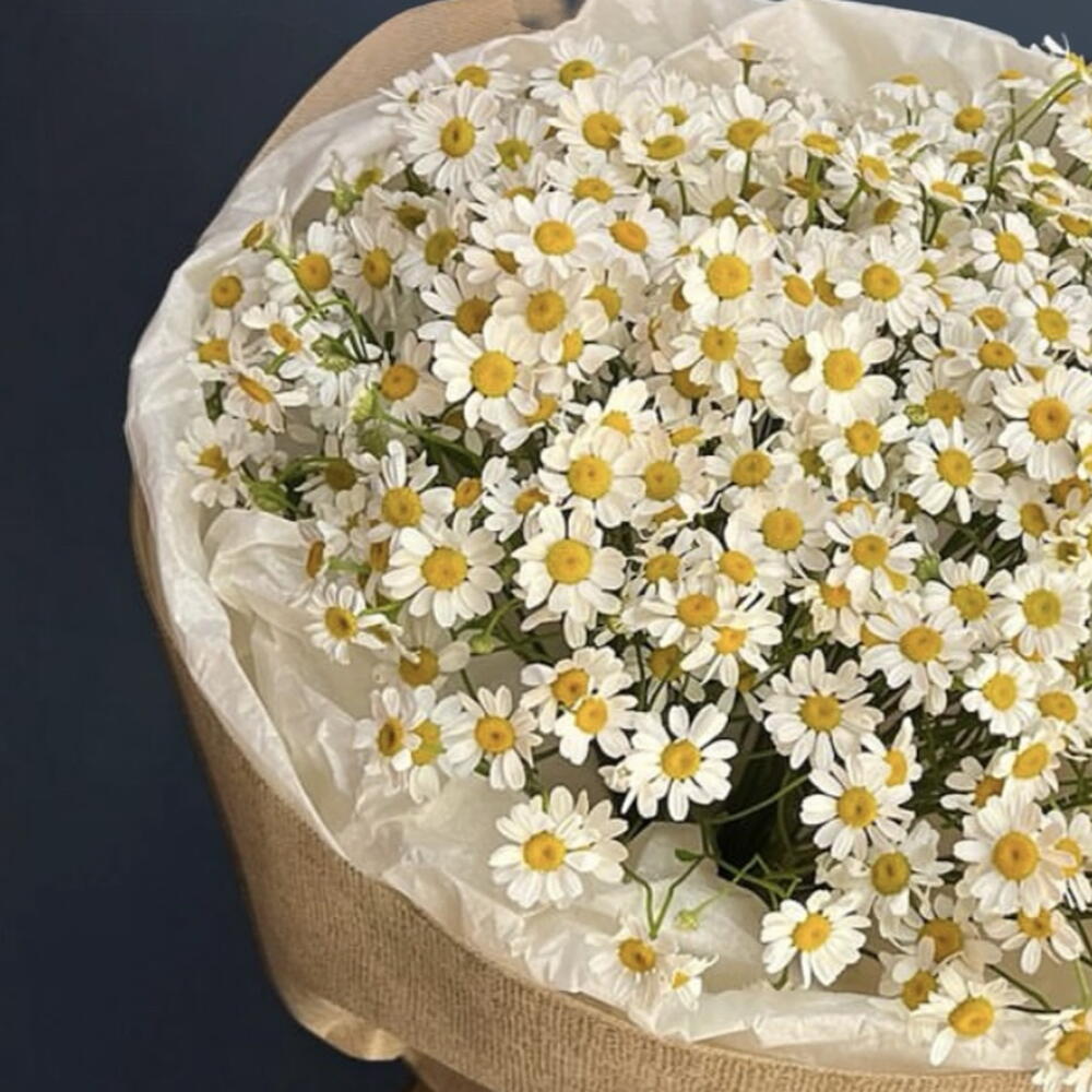 Букет из Ромашек 65 шт