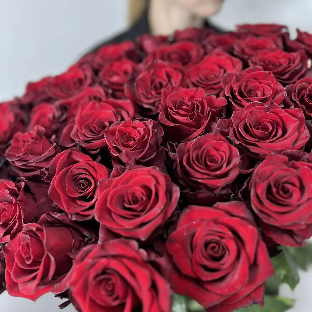 51 Эквадор роза 🌹
