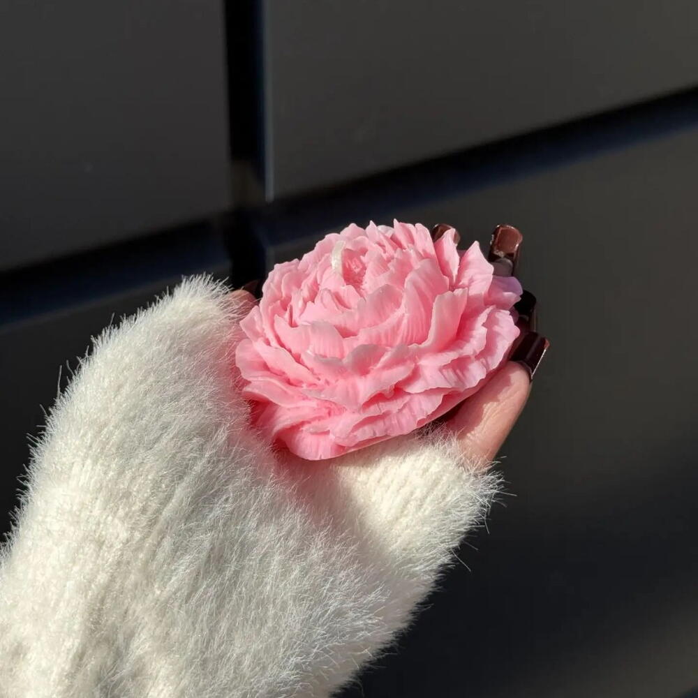 Сфеча пион🌸