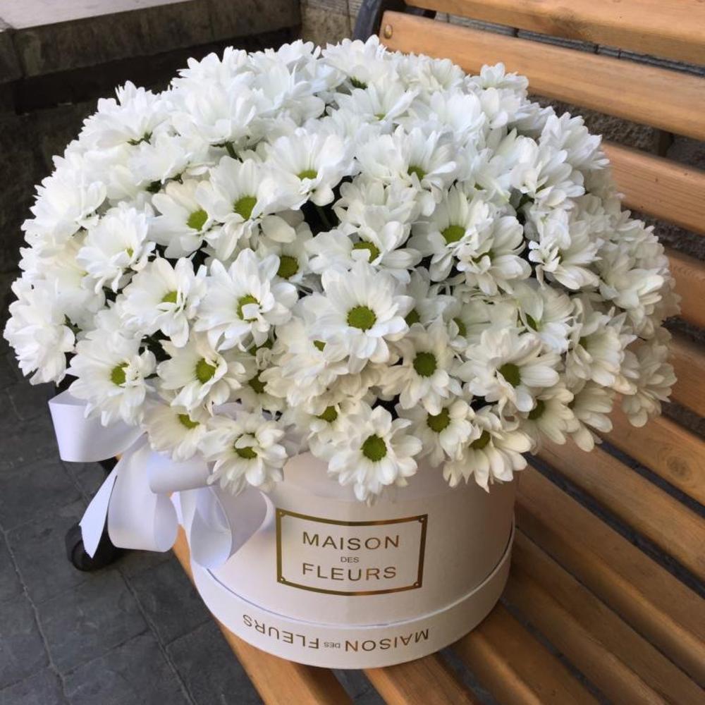 Ромашковые хризантемы в Коробке, Flowers & Gifts Almaty, buy at a price