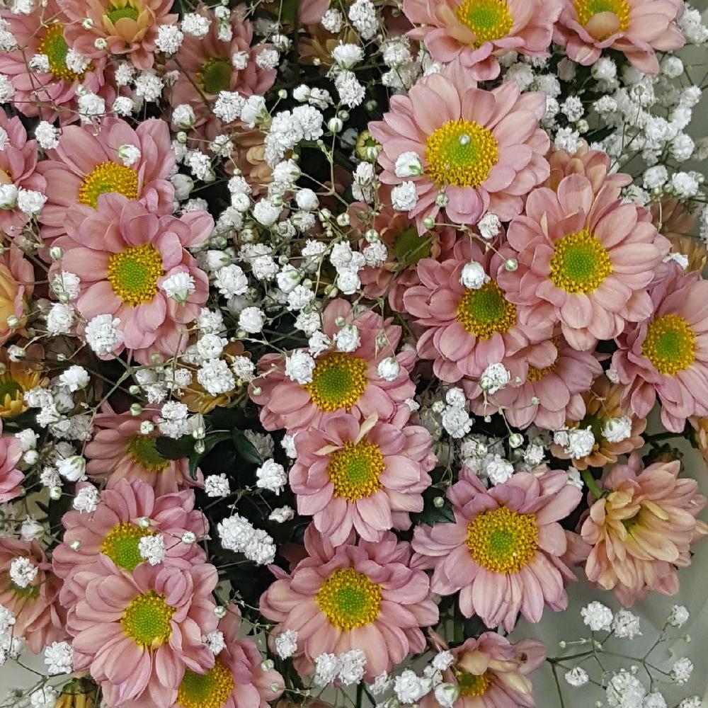Букет
