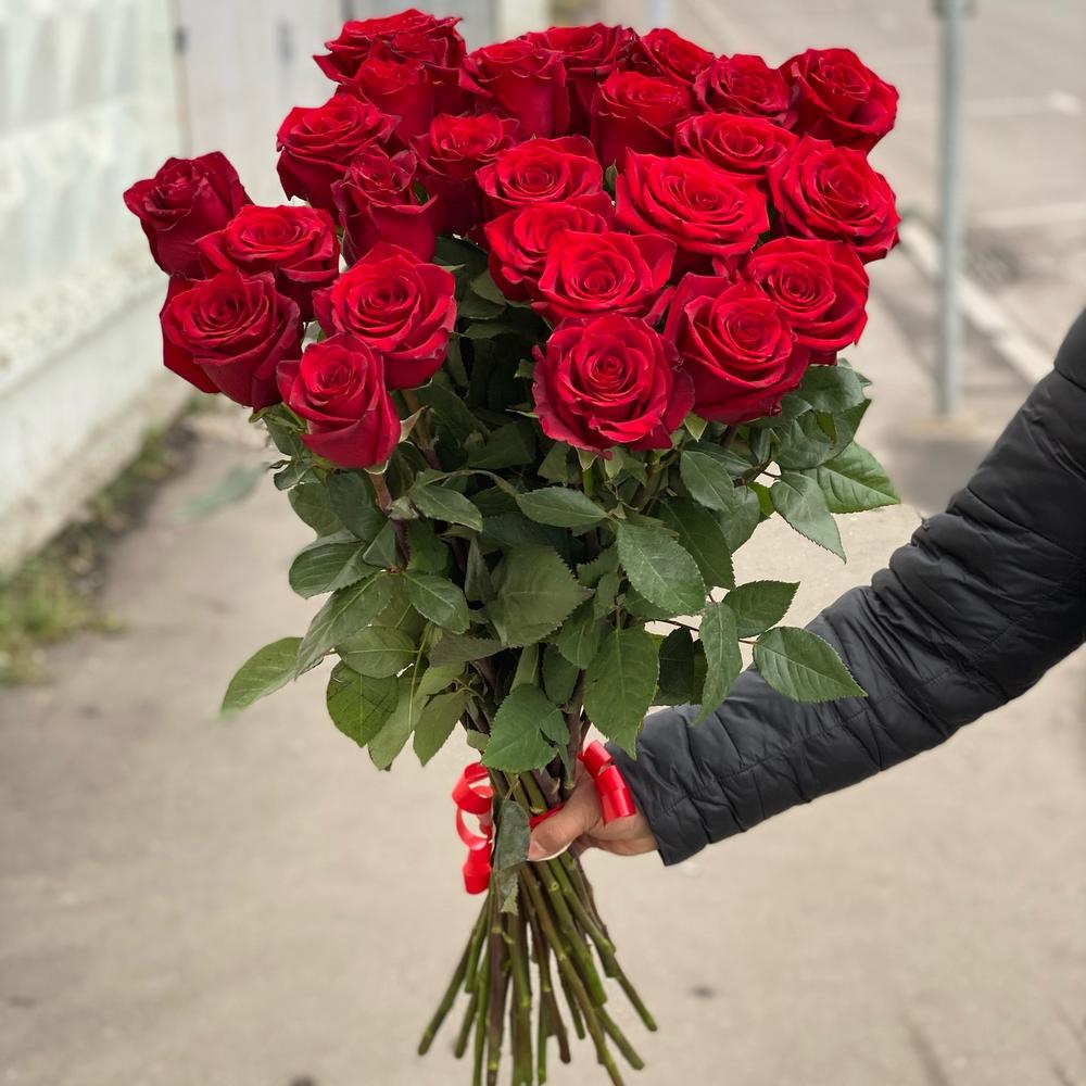 Метровые розы
