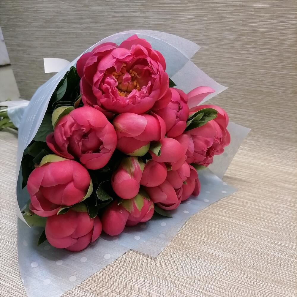 11 пионов