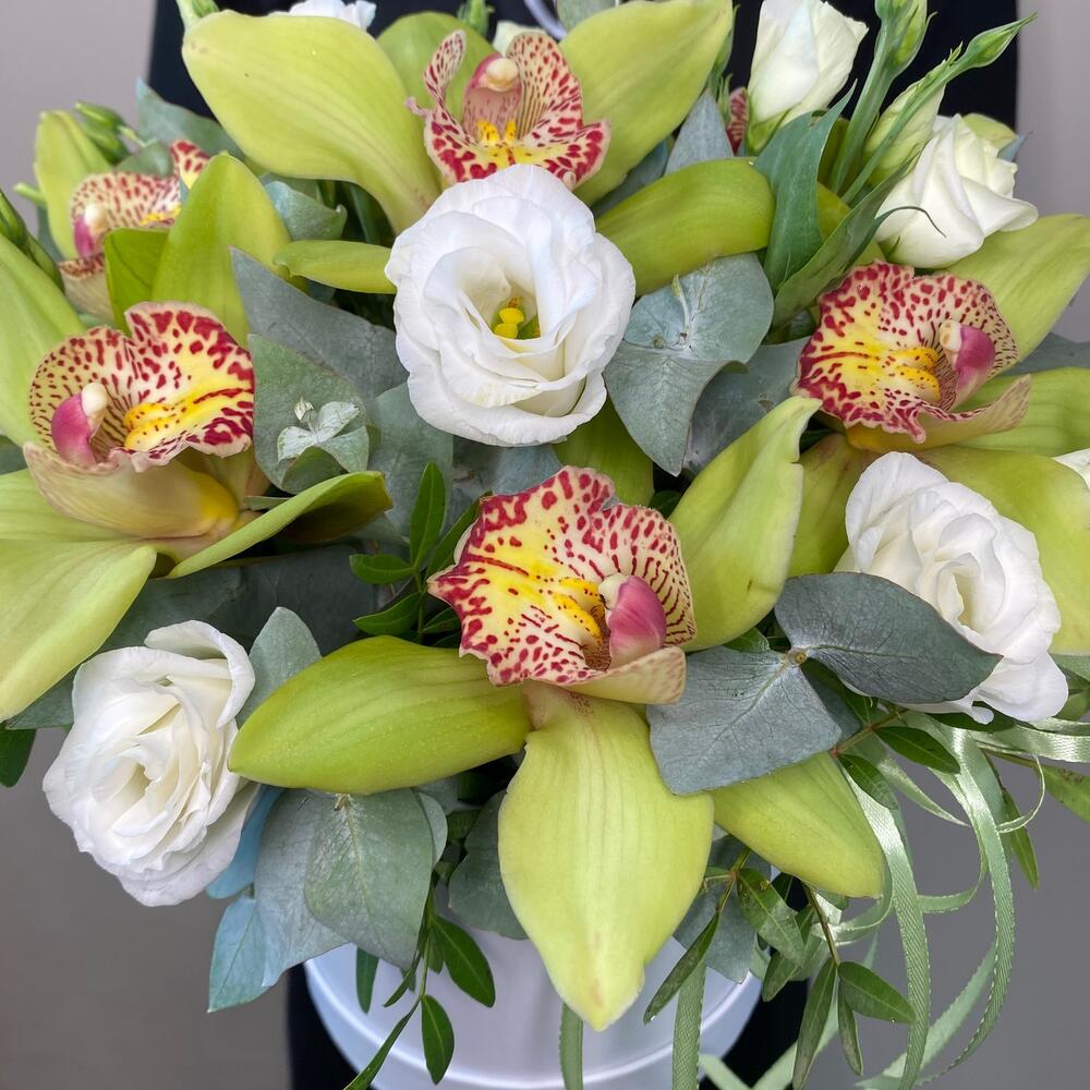Caja de orquídeas