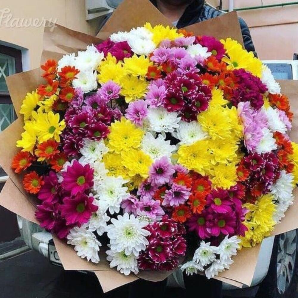 Микс из 51 хризантемы