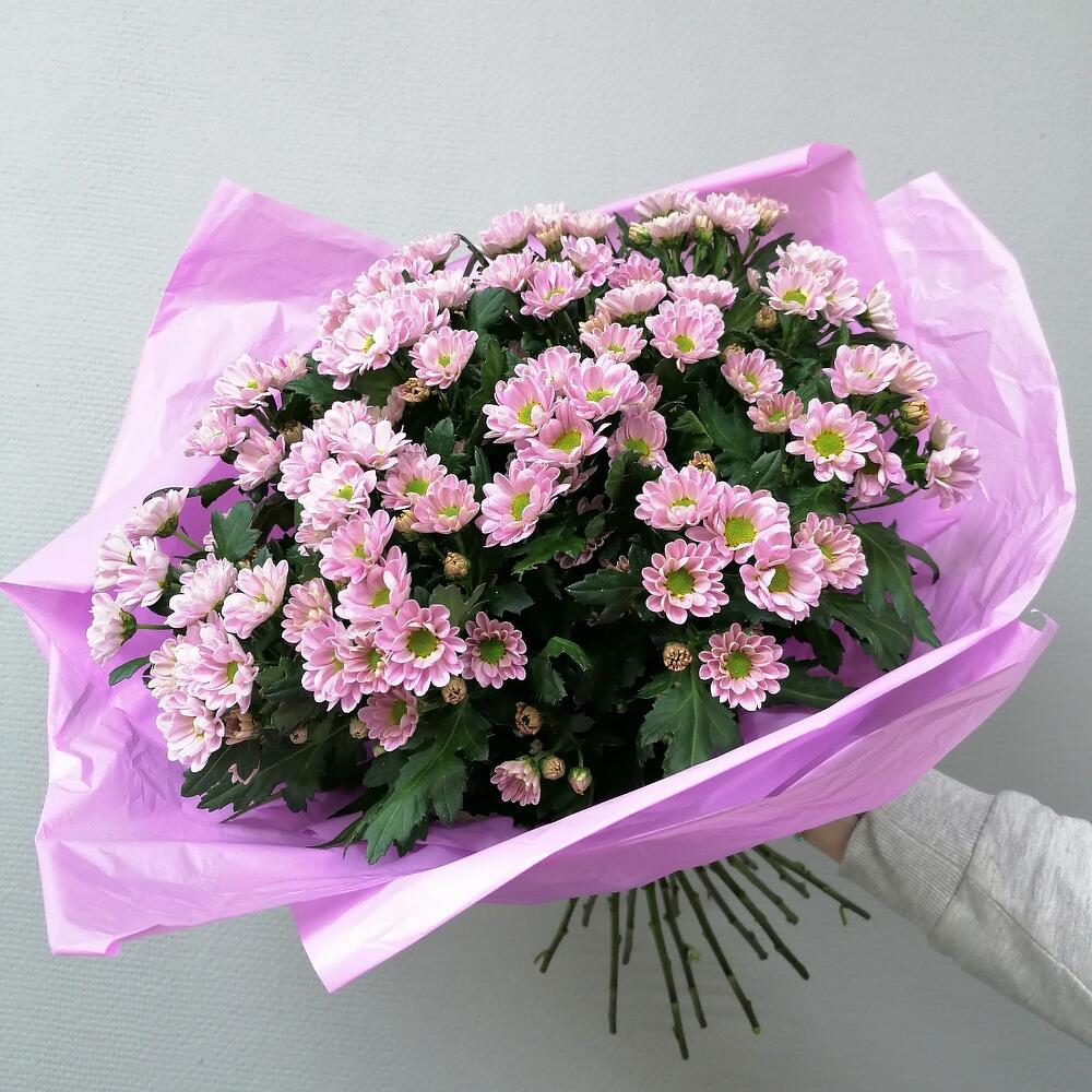 Сантини