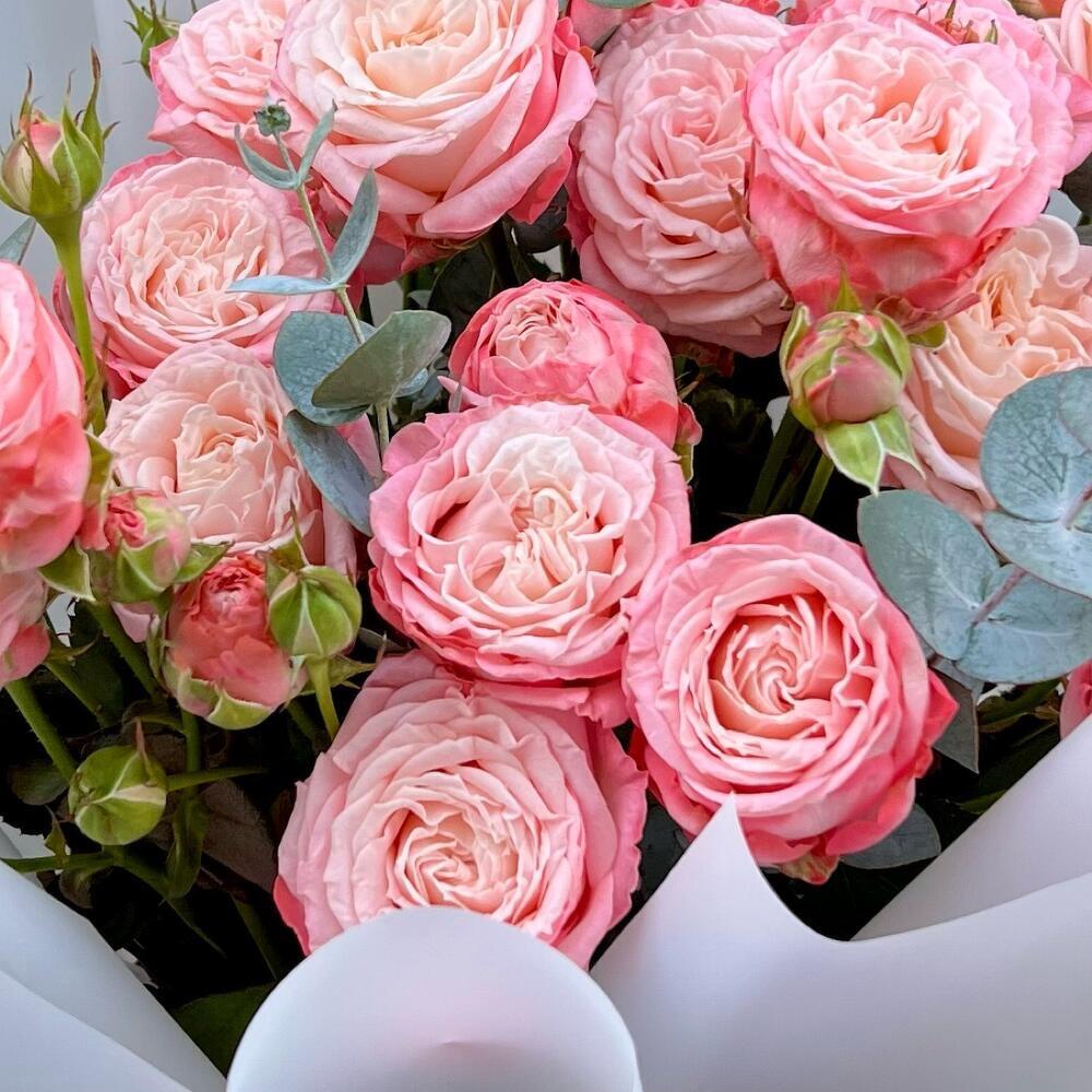 Мадам Бомбастик💕 кустовые розы