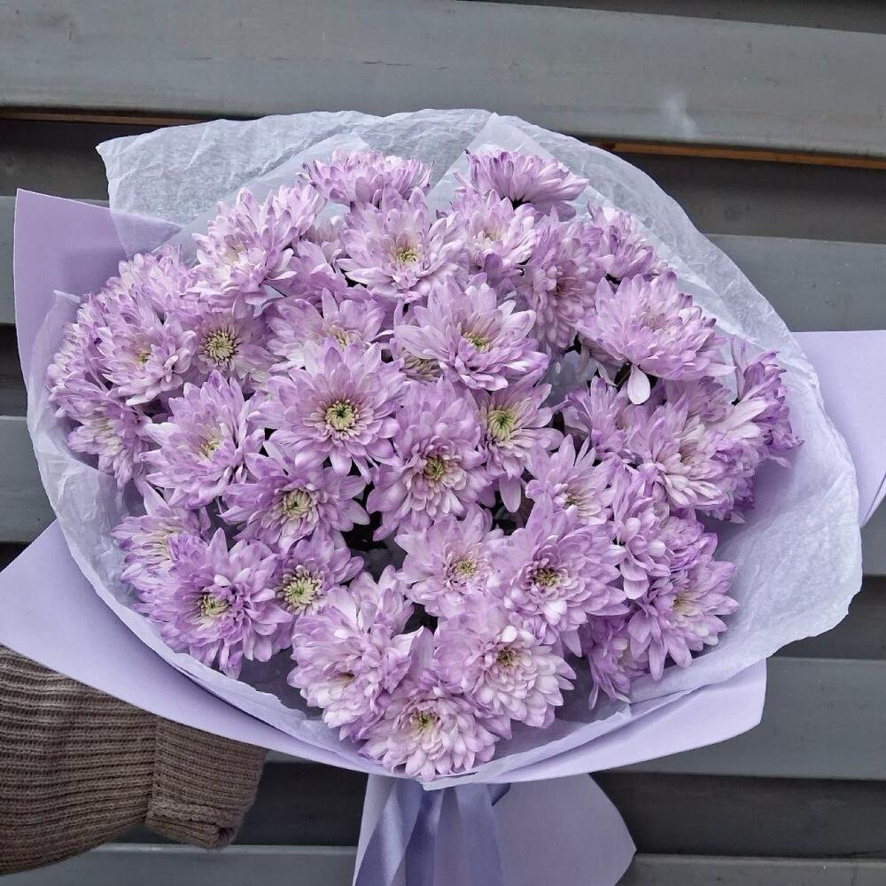 Лавандовая любовь 💗