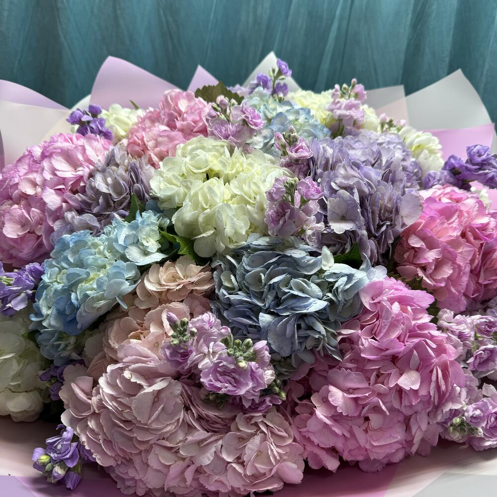 Гортензия микс 🩷🤍💜