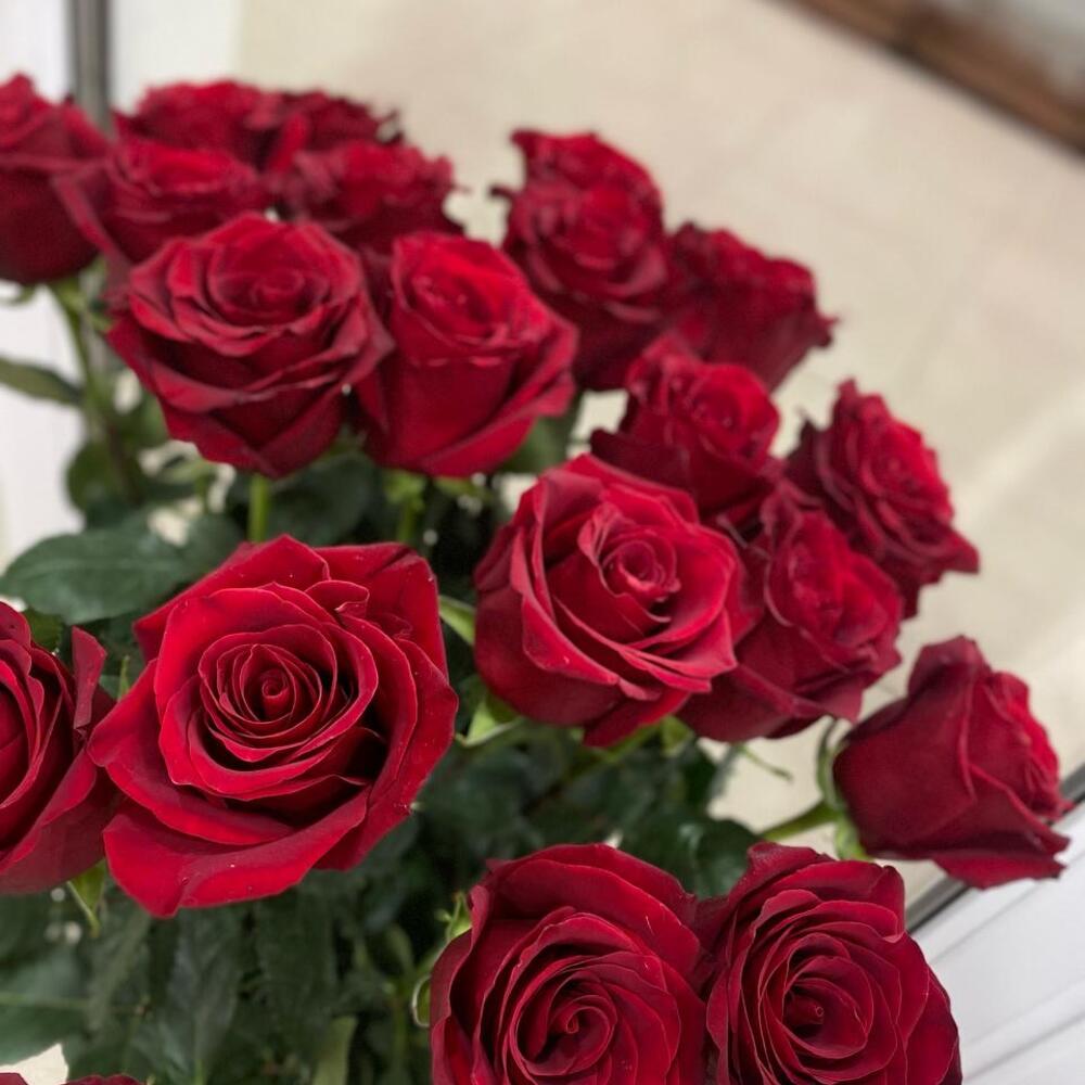 21  метровая роза эквадор