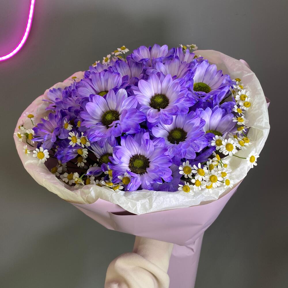 5 фиолетовых ромашек🌸