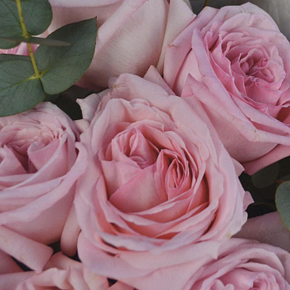 Букет пионовидных роз Pink O Hara и эвкалипта S